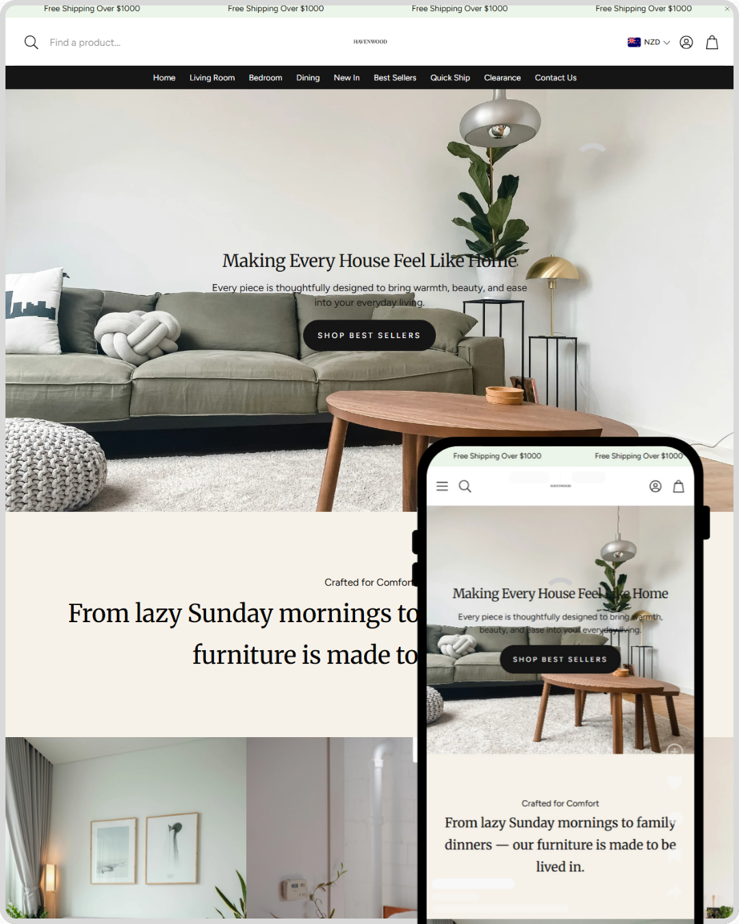 Shopify Setup - Professional Plan